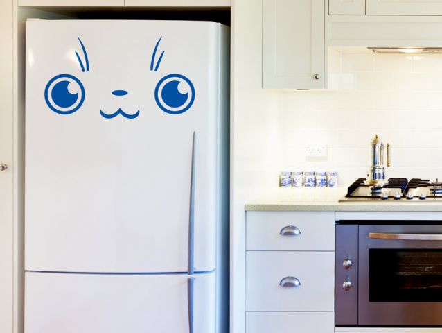 מדבקה למקרר | פרצוף חתולי