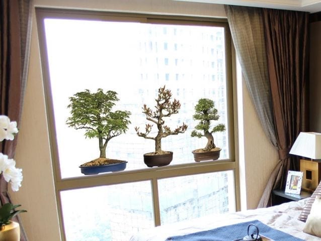 מדבקה לחלון | עצים קטנים