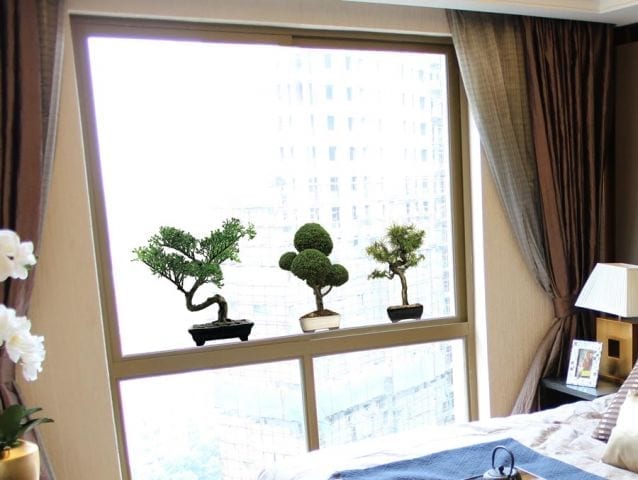 מדבקה לחלון | עציצי בונסאי