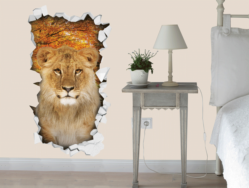 מדבקת קיר | אריה יפיפה מציץ מתוך החור