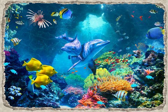 טפט | חור בקיר עם דולפינים ודגים בים