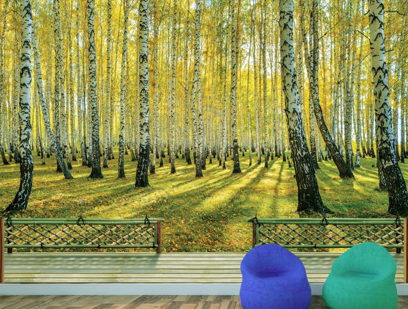 טפט תלת מימדי מרפסת עץ עם נוף ליער