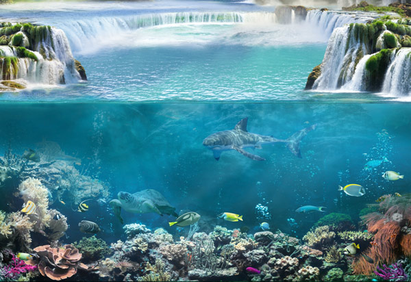מדבקת טפט - אגם יפיפה מתחת למים