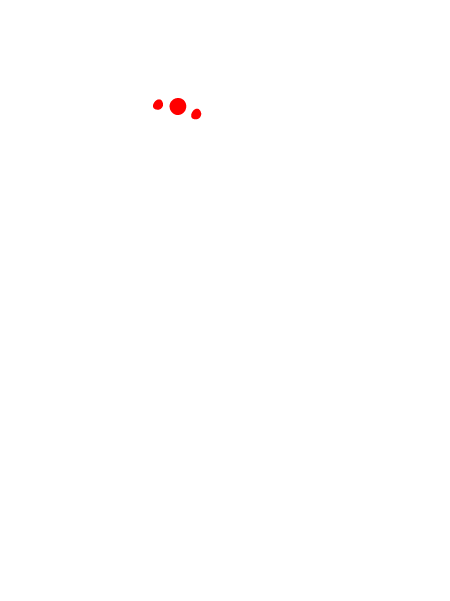 מדבקת קיר – טיפ הסקרן מציל חתול