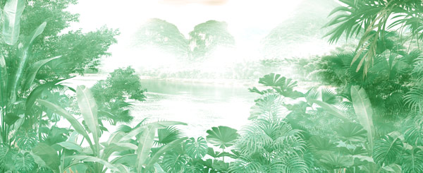 מדבקת טפט - ג'ונגל טרופי ירוק