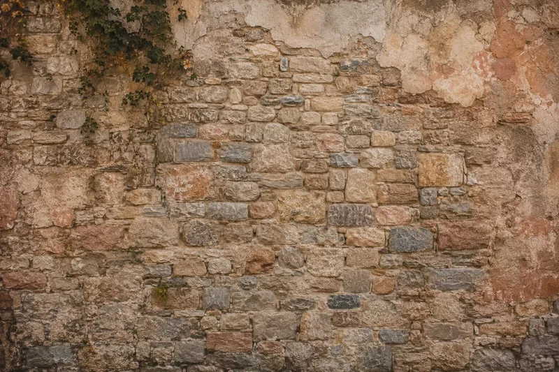 אבנים בגדלים שונים בגווני בז', אפור וחום אדמדם עם קיסוס בפינה העליונה השמאלית